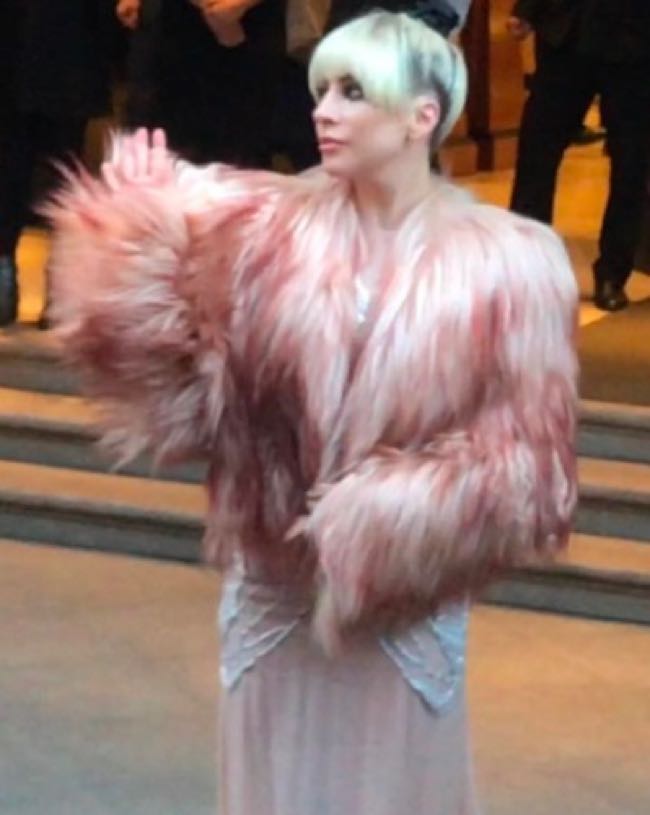 Lady Gaga concerto a Milano ecco il look e lo stilista scelto dalla cantante