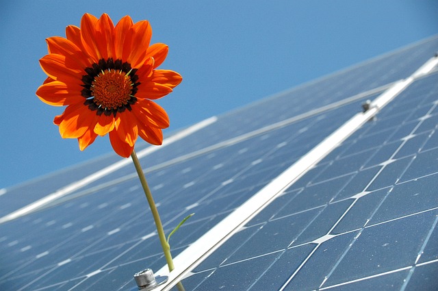 Energie rinnovabili: perché installare un impianto fotovoltaico